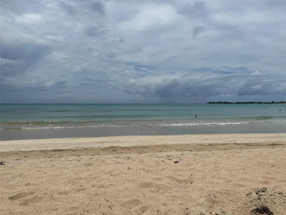 185 CALLE PINE GROVE #B-1 Carolina, PR 00979