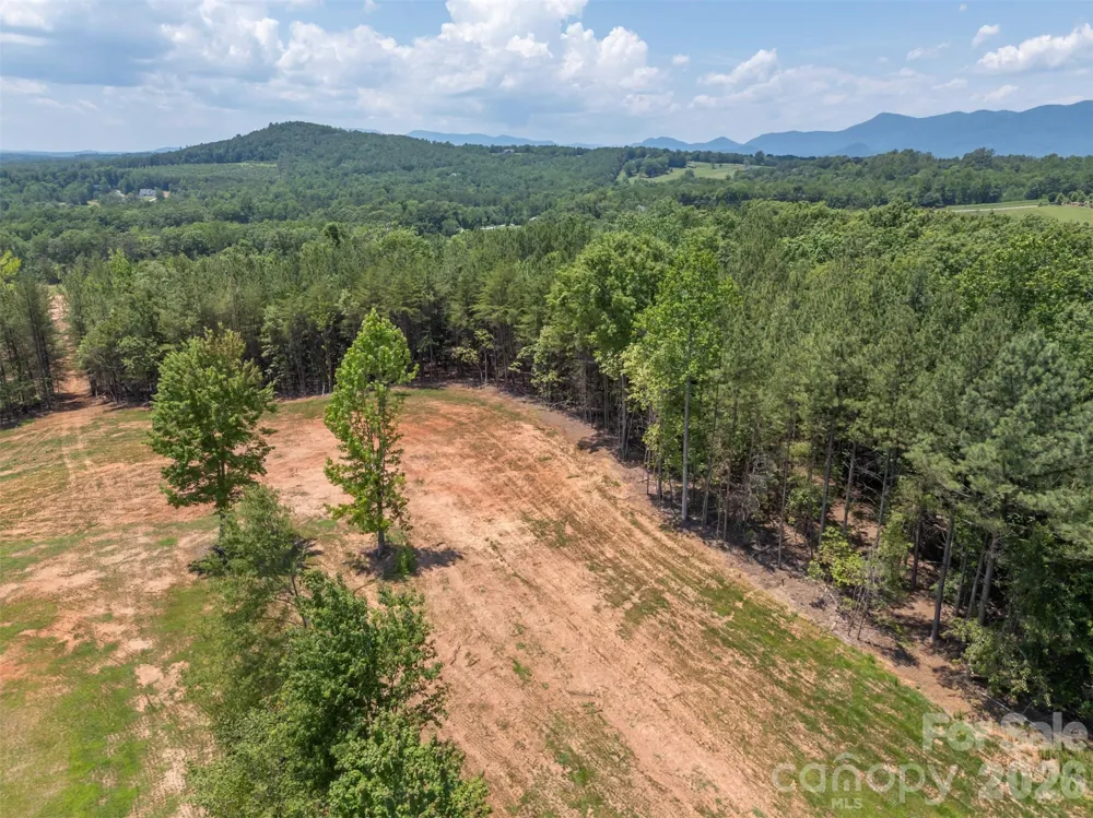 5732 S Nc 9 Highway Tryon, NC 28782