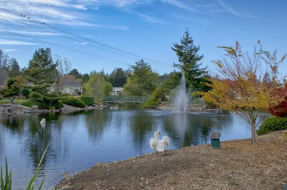 225 Mount Hermon Road #146 Scotts Valley, CA 95066