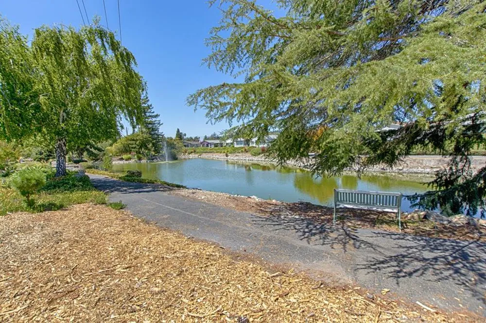 225 Mount Hermon Road #146 Scotts Valley, CA 95066