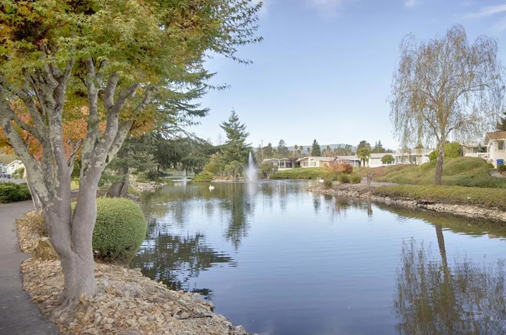 225 Mount Hermon Road #146 Scotts Valley, CA 95066