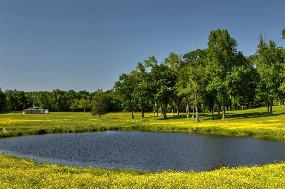 1765 Crabapple Big Sandy, TX 75755