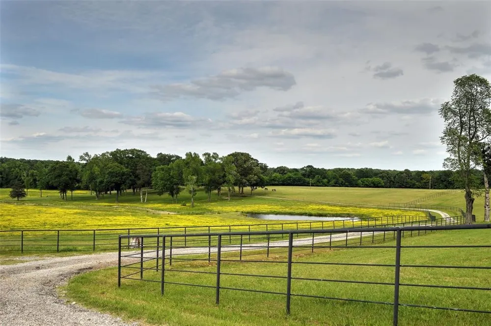 1765 Crabapple Big Sandy, TX 75755