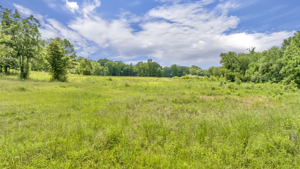 17273 Stella Maris Winona, TX 75792