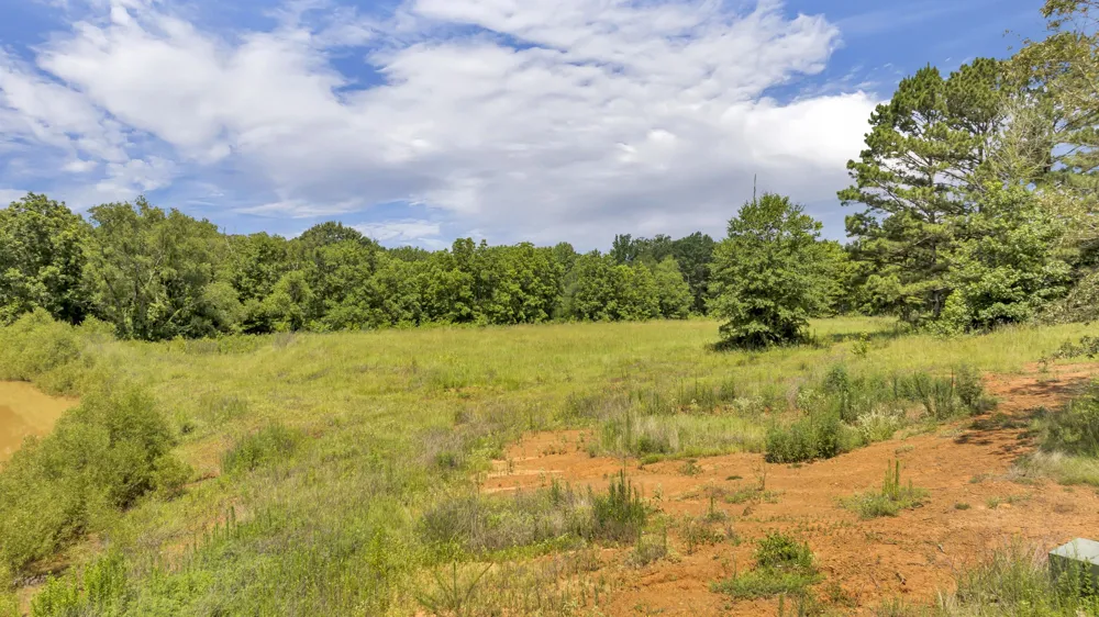 17273 Stella Maris Winona, TX 75792