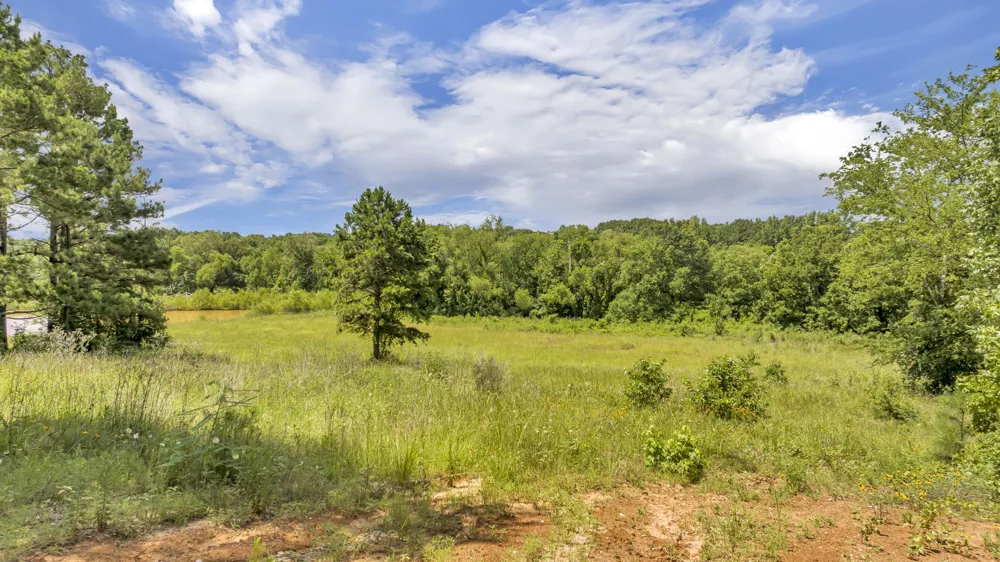 17273 Stella Maris Winona, TX 75792
