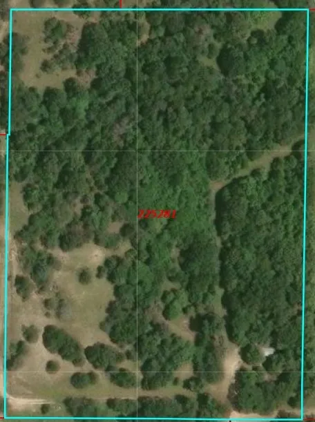 14598 County Road 1122 Athens, TX 75751