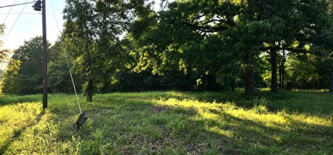 14598 County Road 1122