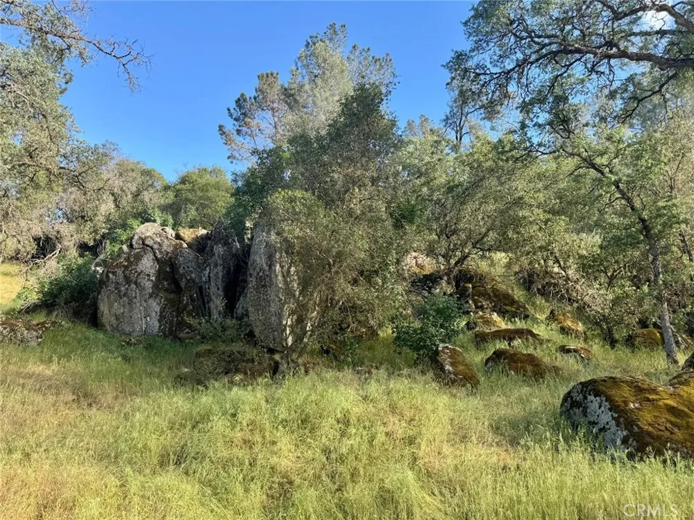 1 Road 400 Coarsegold, CA 93614