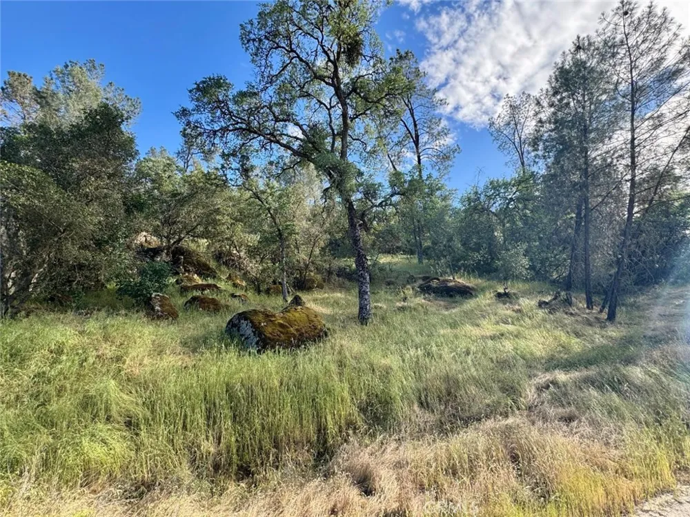 1 Road 400 Coarsegold, CA 93614