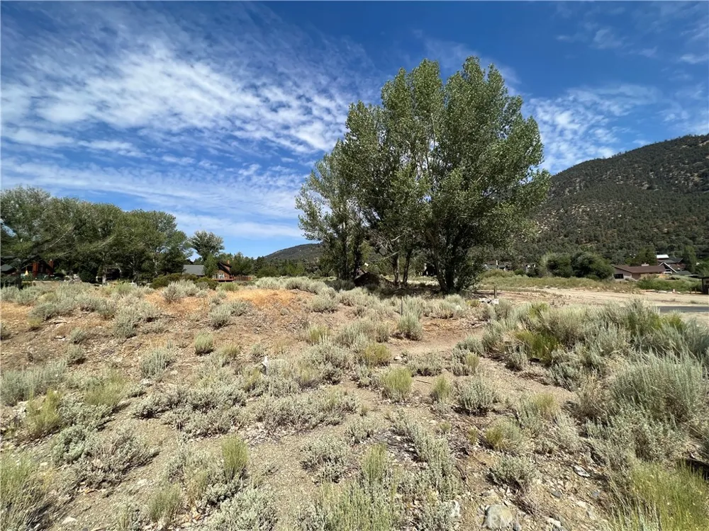 2608 Beechwood Way Pine Mountain Club, CA 93222