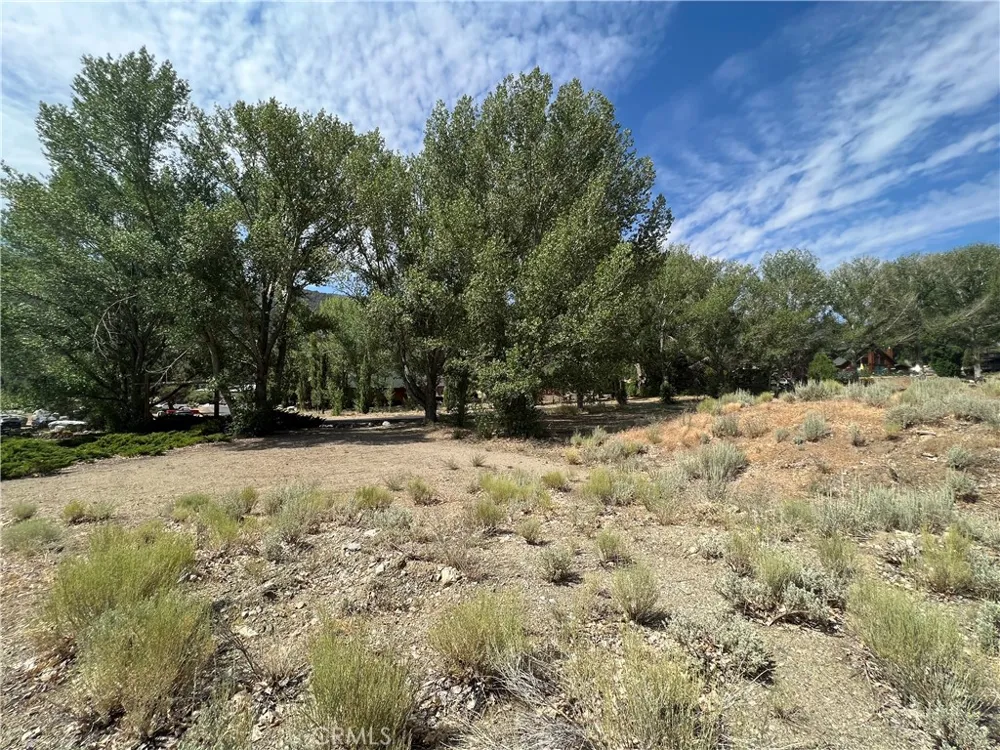 2608 Beechwood Way Pine Mountain Club, CA 93222