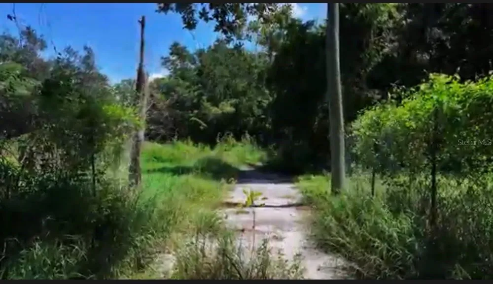 13709 S APOPKA VINELAND ROADS Orlando, FL 32821