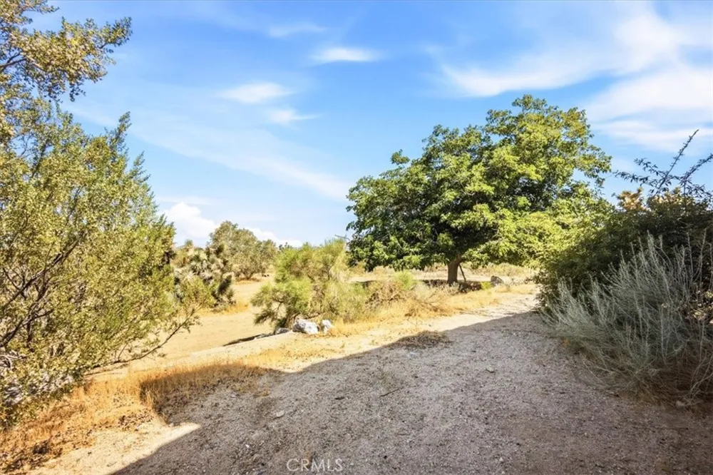 1397 Sierra Pinon Hills, CA 92372