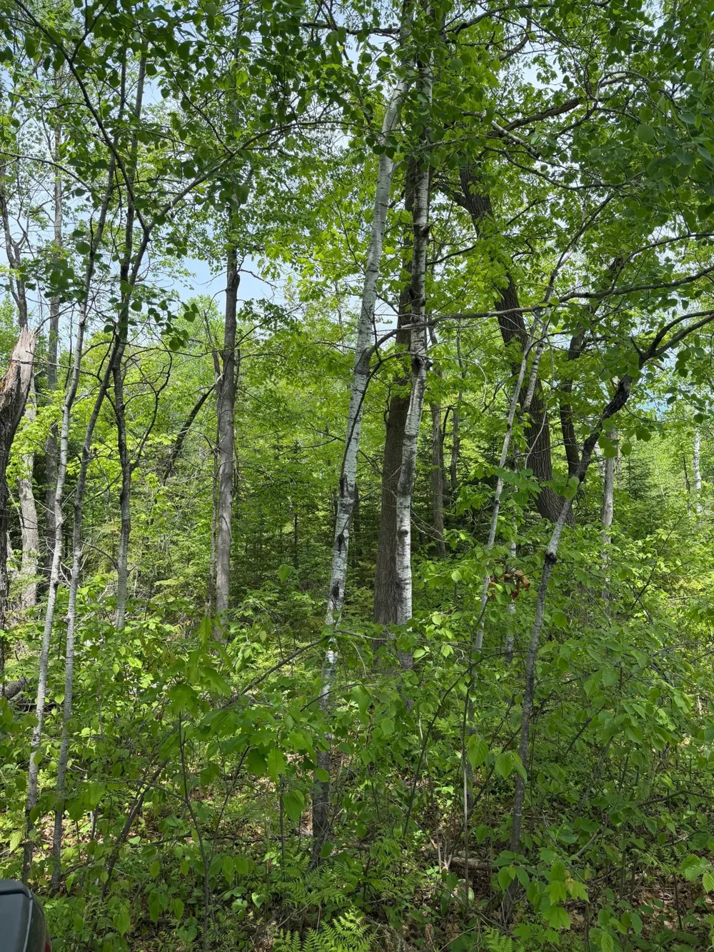 TBD Range Line Rd Kerrick, MN 55756