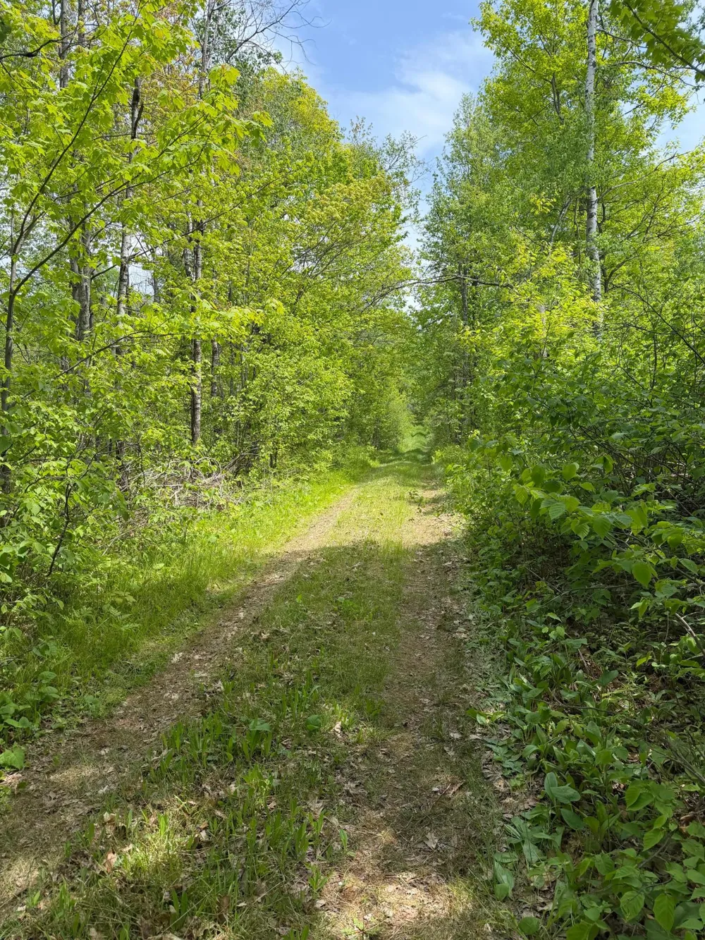 TBD Range Line Rd Kerrick, MN 55756