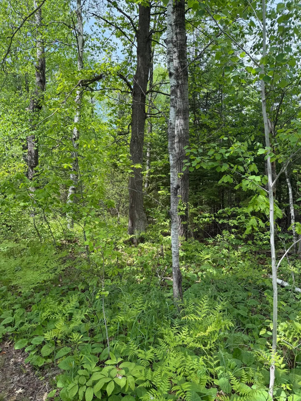 TBD Range Line Rd Kerrick, MN 55756