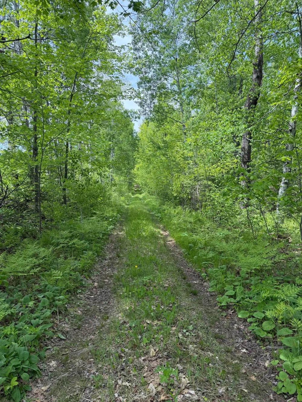TBD Range Line Rd Kerrick, MN 55756
