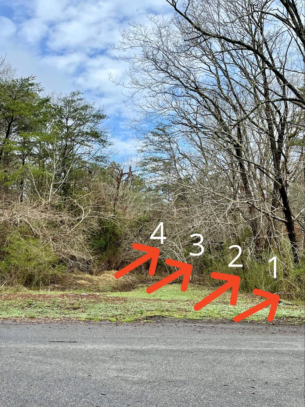 112 Franklin Street Woodbine, NJ 08270