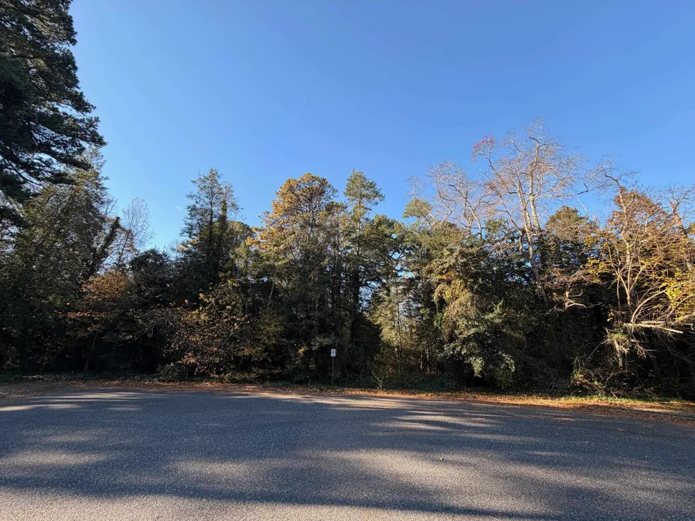 24 E Timber Drive Marmora, NJ 08223