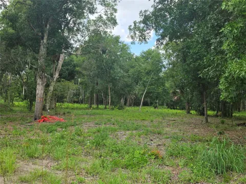 180 OAK DRIVE