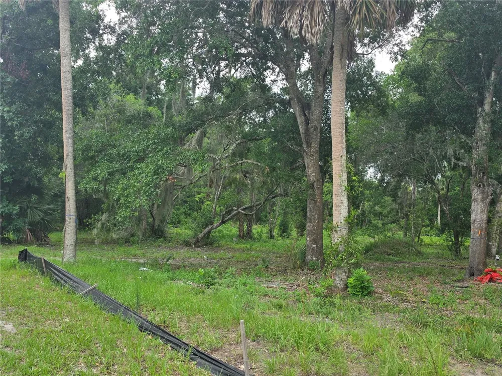 180 OAK DRIVE Osteen, FL 32764