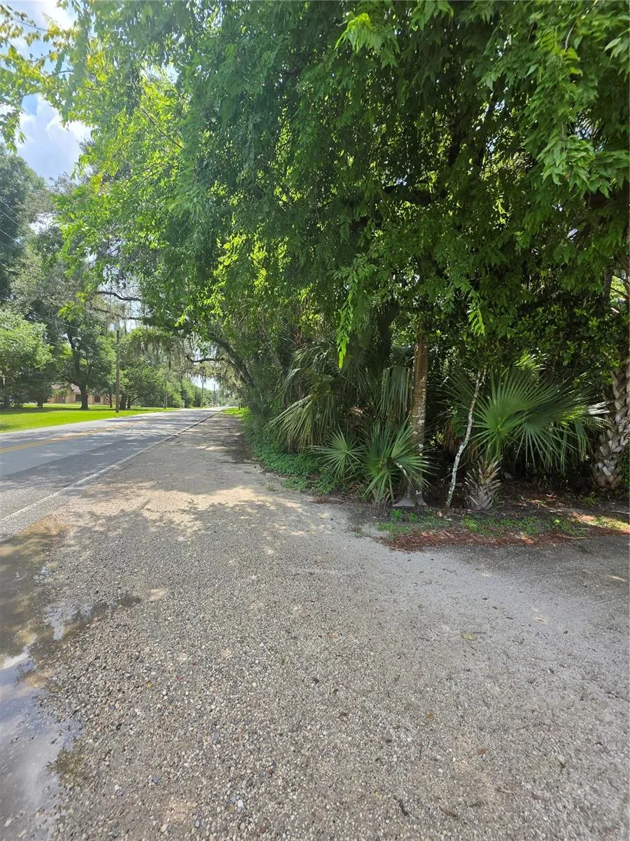 180 OAK DRIVE Osteen, FL 32764