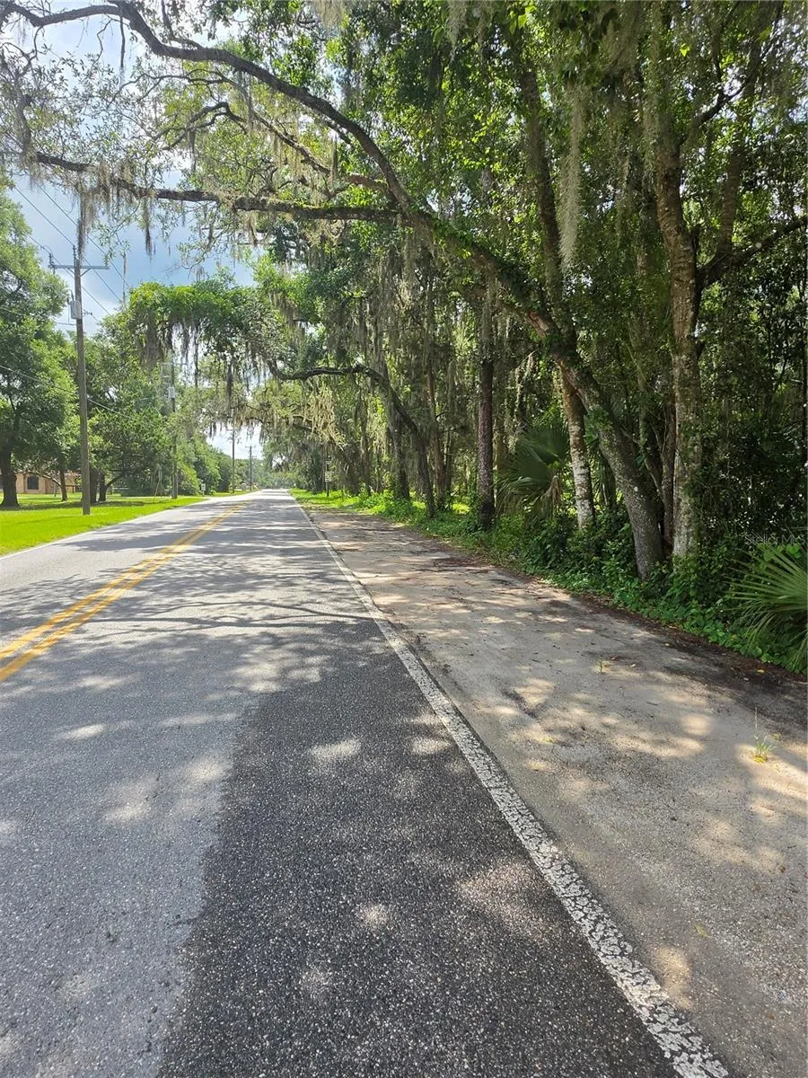 180 OAK DRIVE Osteen, FL 32764