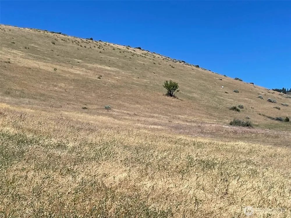 20 XXX Robbins Road Ellensburg, WA 98926