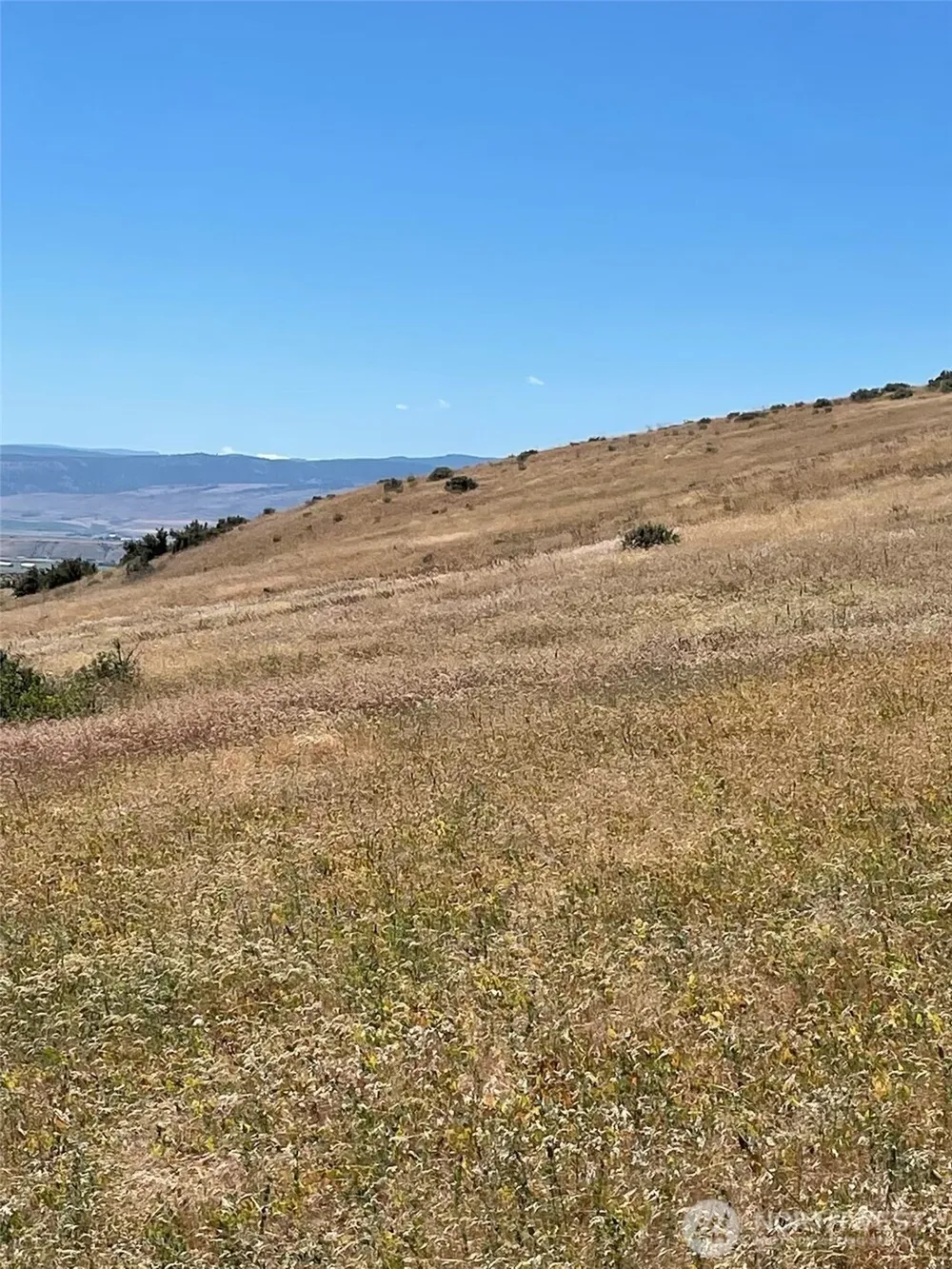 20 XXX Robbins Road Ellensburg, WA 98926