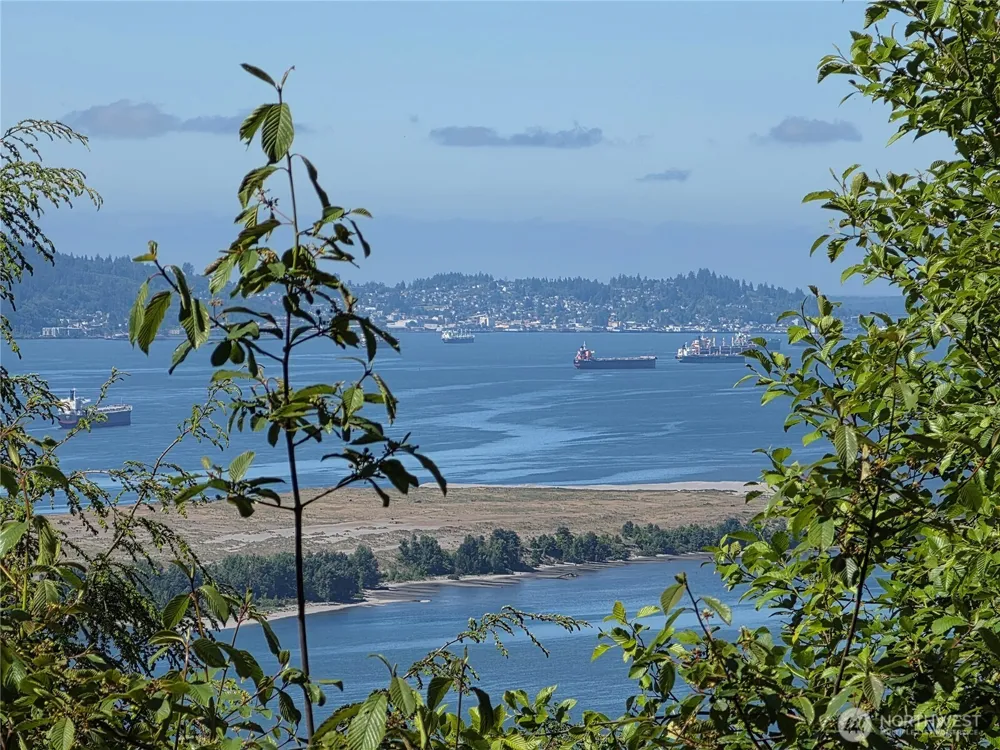 0 XX Cottardi Heights Road Rosburg, WA 98643