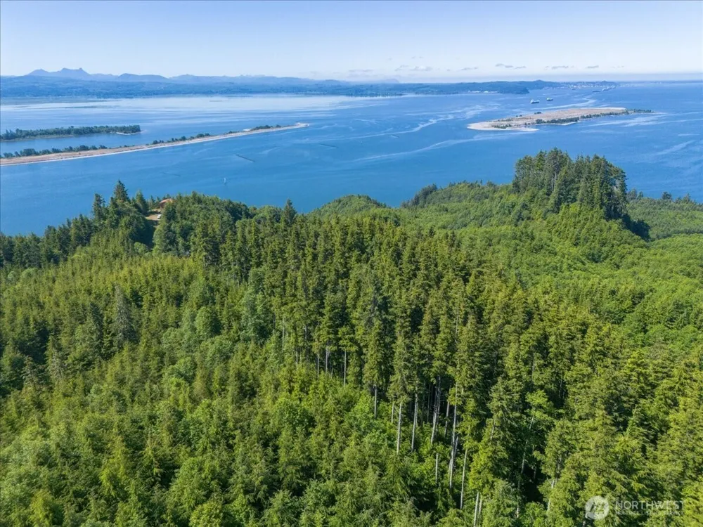 0 XX Cottardi Heights Road Rosburg, WA 98643