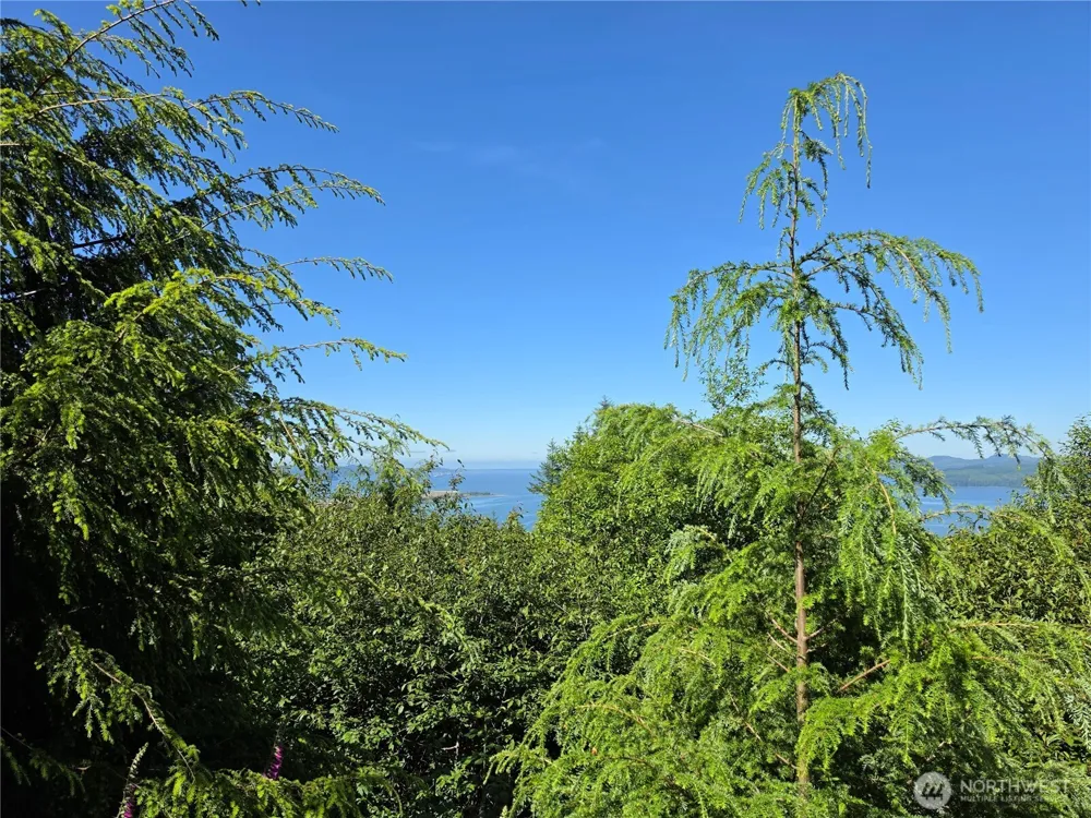 0 XX Cottardi Heights Road Rosburg, WA 98643