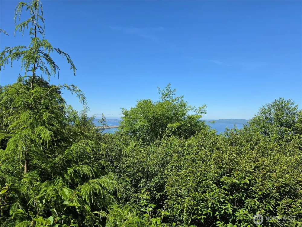 0 XX Cottardi Heights Road Rosburg, WA 98643