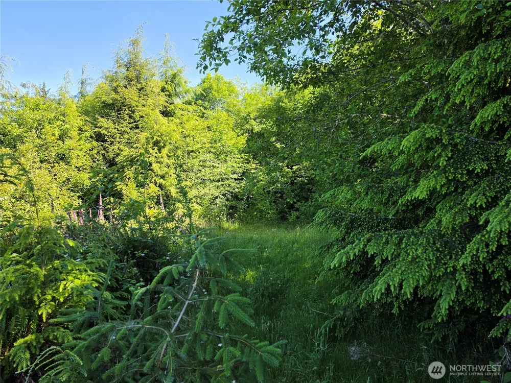 0 XX Cottardi Heights Road Rosburg, WA 98643
