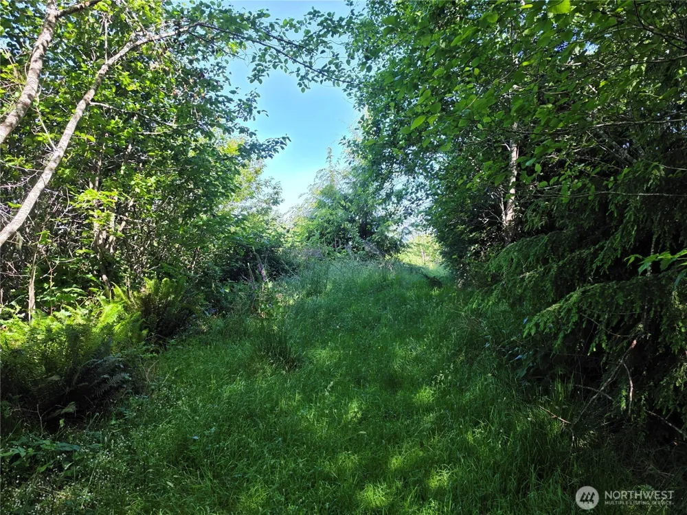 0 XX Cottardi Heights Road Rosburg, WA 98643