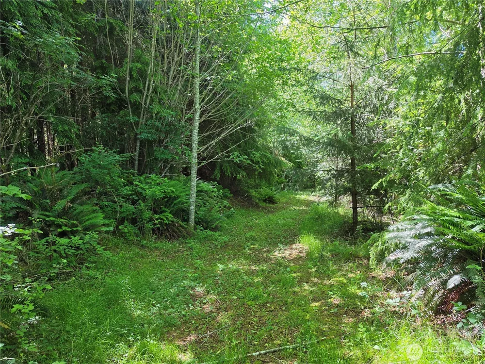 0 XX Cottardi Heights Road Rosburg, WA 98643