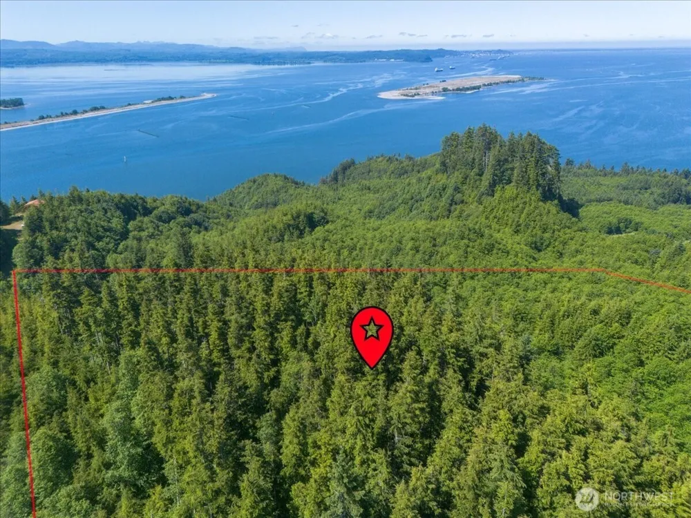 0 XX Cottardi Heights Road Rosburg, WA 98643
