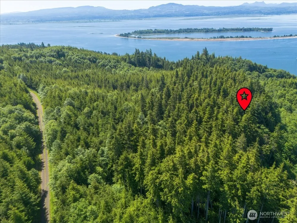 0 XX Cottardi Heights Road Rosburg, WA 98643