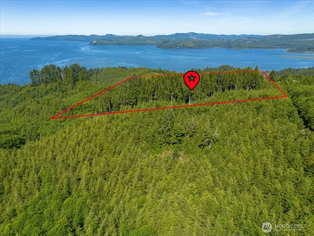 0 XX Cottardi Heights Road Rosburg, WA 98643