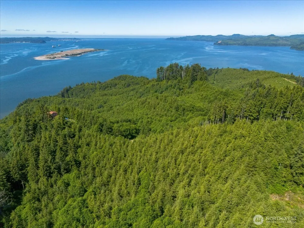 0 XX Cottardi Heights Road Rosburg, WA 98643