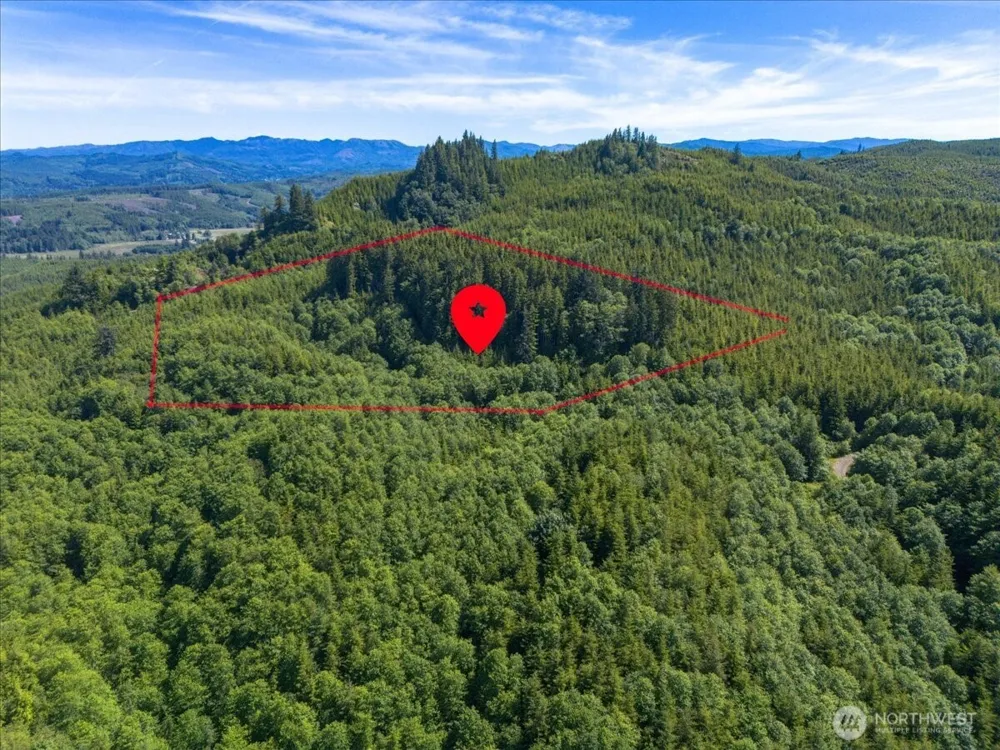 0 XX Cottardi Heights Road Rosburg, WA 98643