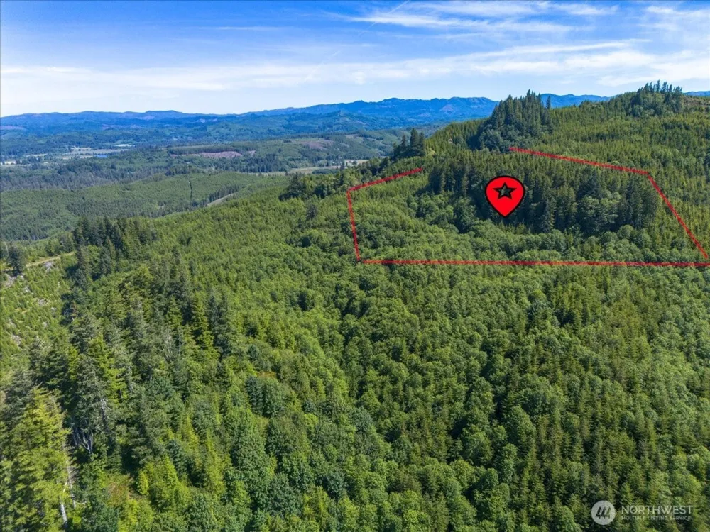 0 XX Cottardi Heights Road Rosburg, WA 98643