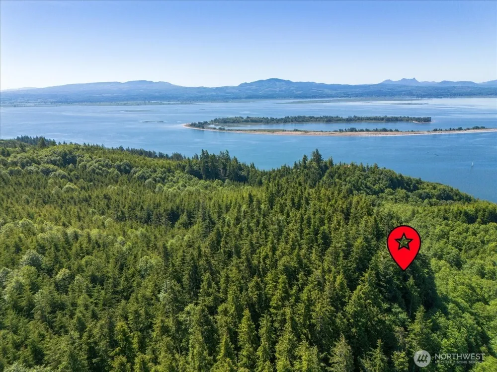0 XX Cottardi Heights Road Rosburg, WA 98643