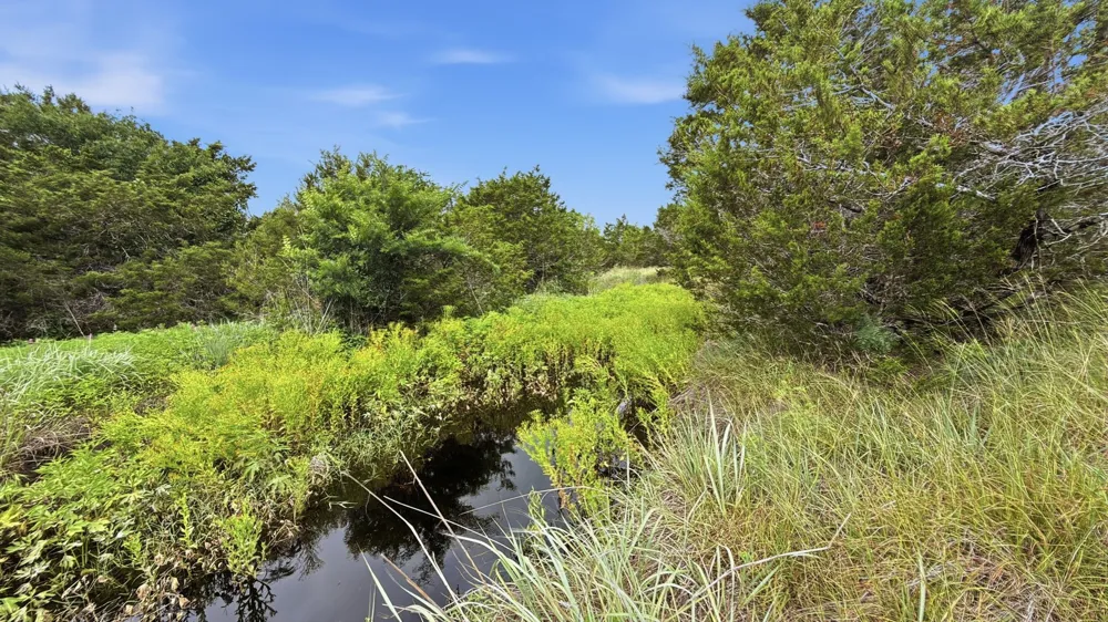 PR 42101 Evant, TX 76525