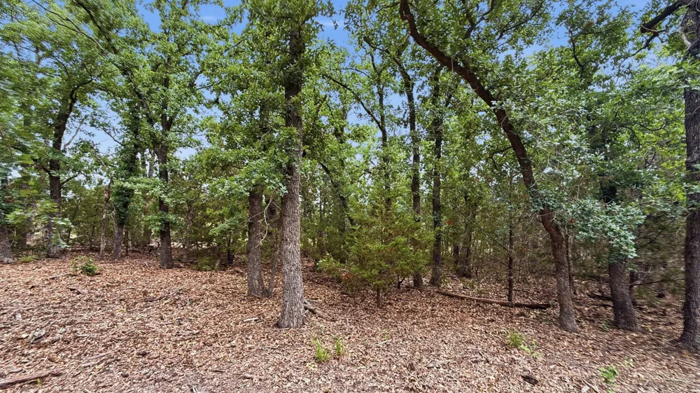 PR 42101 Evant, TX 76525