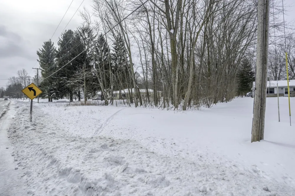Strawberry Lane Lane Port Huron Charter Township, MI 48060