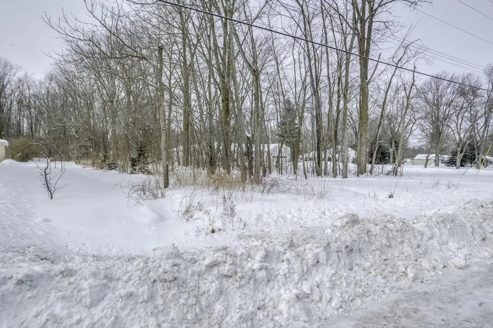 Strawberry Lane Lane Port Huron Charter Township, MI 48060