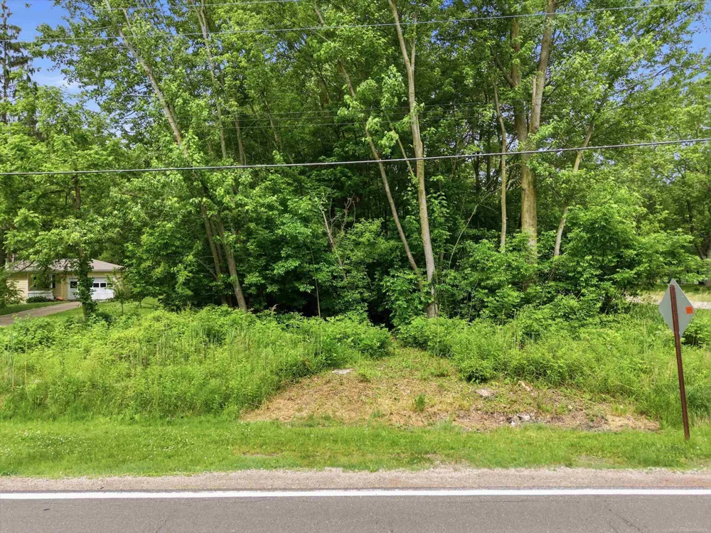 Strawberry Lane Lane Port Huron Charter Township, MI 48060
