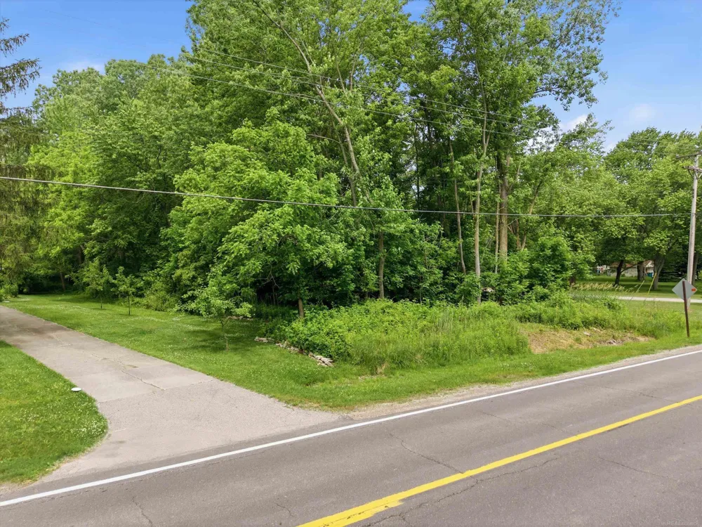 Strawberry Lane Lane Port Huron Charter Township, MI 48060